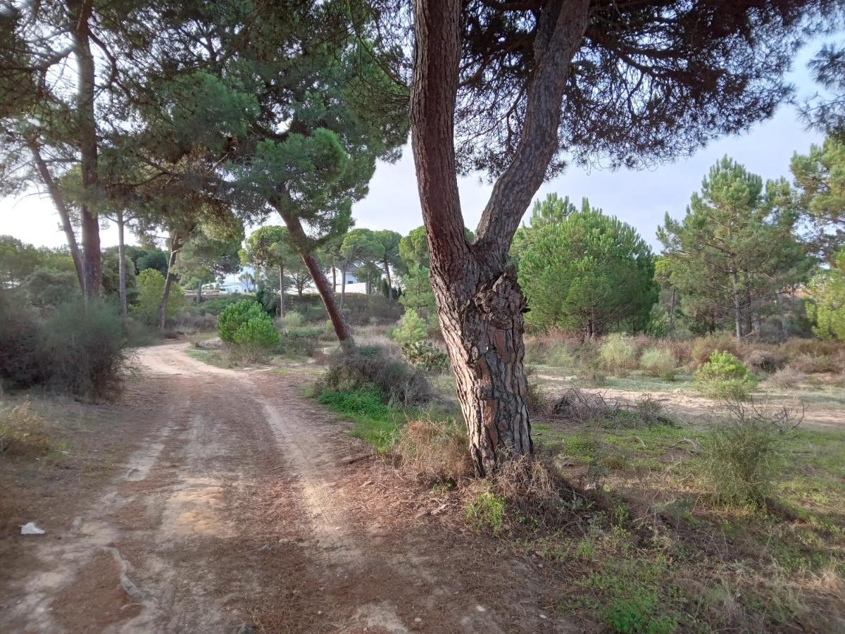 אל רומפידו Villa St. Magnus מראה חיצוני תמונה